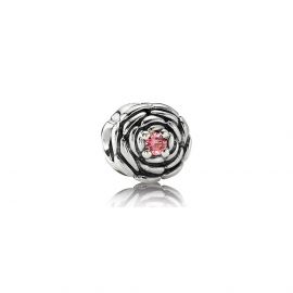 hoop Op tijd Aanhoudend Pandora zilveren charm bloeiende roos met roze zirkonia kopen